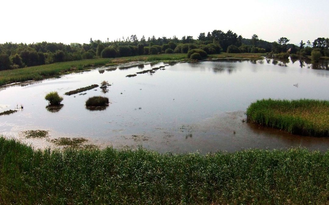 Información Laguna de Caque